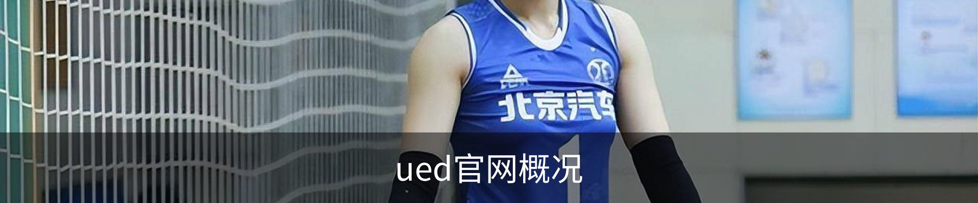 ued官网概况